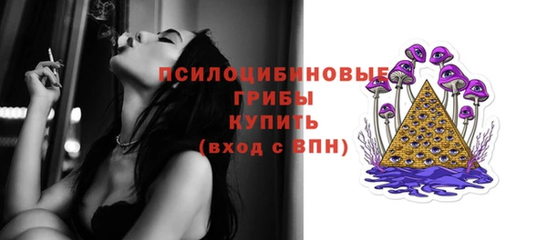 шишки Абдулино