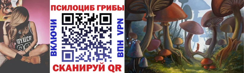 Галлюциногенные грибы Magic Shrooms  Хилок 